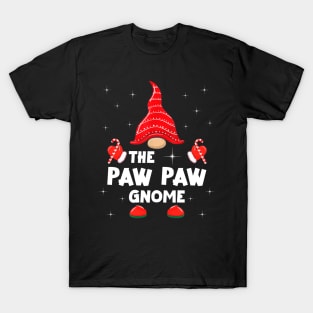 The Paw Paw Gnome Matching Family Christmas Pajama T-Shirt